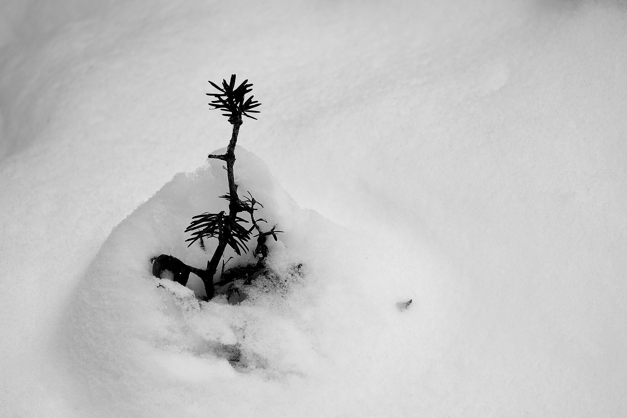 Minimalistische Fotografie 5